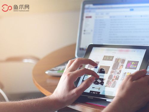 魚爪網(wǎng)的堅持與發(fā)展 個人互聯(lián)網(wǎng)服務的匠心之路